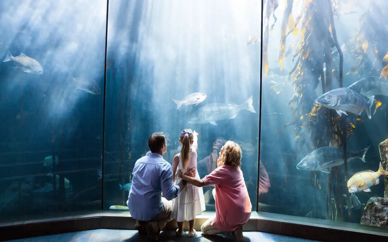 SeaWorld Abu Dhabi Tickets